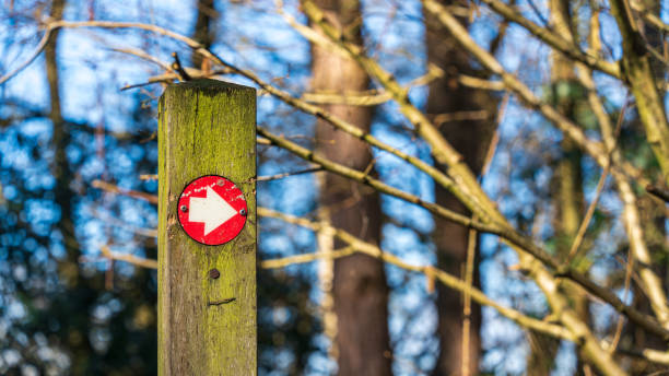 istock Red arrows way marker sign on a trail 2151210845