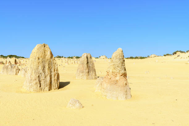 Early morning drone photos of the Pinnacles in Western Australia, which consist of thousands of weathered limestone pillars, situated in the Nambung National Park near the town of Cervantes.