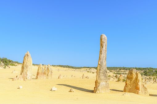 Natural limestone pillars rise from the yellow sandy desert. The pillars are formed by deposits of sea shells and algal, calcrete and paleosoil or cemented pipe and tube of millions of years of erosion. The park is a popular tourist attraction.