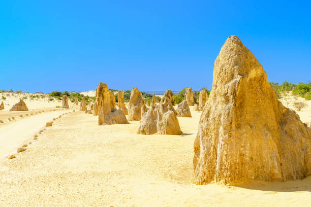istock The Pinnacles: Limestone Pillars in Yellow Desert 2151214128