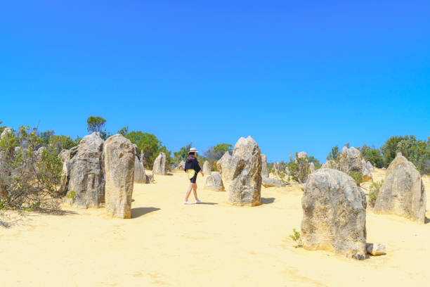 istock The Pinnacles: Limestone Formations with a Young Woman Tourist 2151214504
