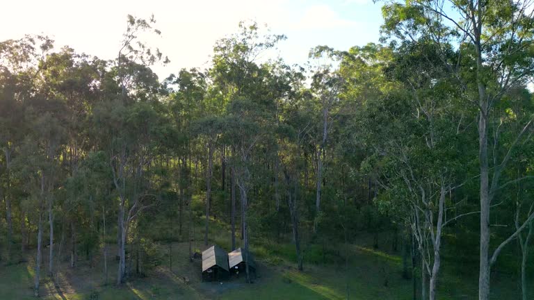Drone footage of a chook (chicken) pen in Australia revealing the eucalypt trees and the mountain range at sunset.