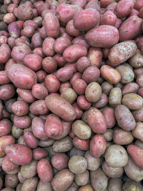 istock Pink potatoes on a market counter as a background. Texture 2151217226