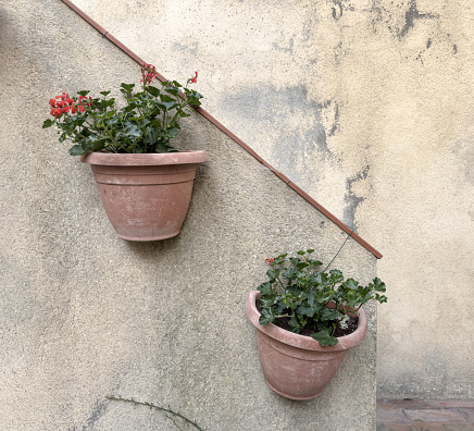 Two pretty geraniums in wall-hanging flower pots.