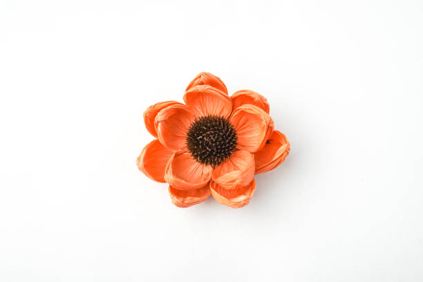 Colorful corn husk flower crafts isolated on white background