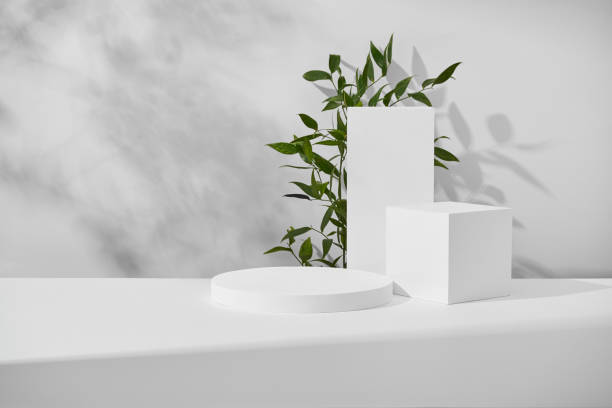 istock Minimalist Geometric Podiums Display With Green Plant Accent in Monochromatic Setting 2151221735