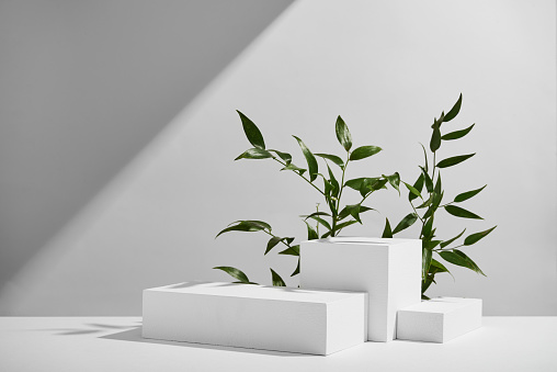 A collection of white geometric display platforms of varying heights is arranged against a soft shadow on a light background, with sprouting green plants accentuating the modern design, creating a clean and simplistic showcase area for products.