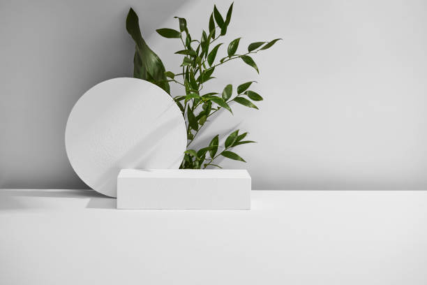 istock A white podium with a green plant 2151221813