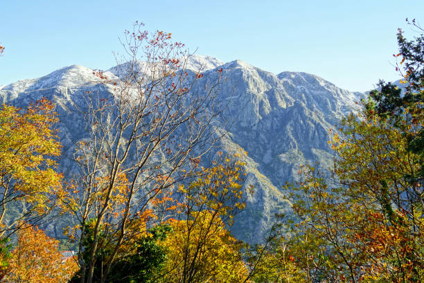 istock Tree branches with bright autumn foliage and majestic mountains with snow-capped peaks located near Kotor. 2151224010