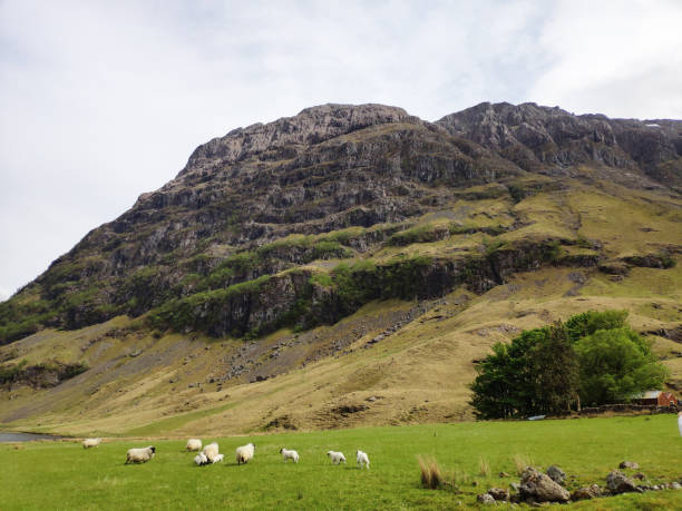 istock Scottish highland nature scenery, mountain top surrounded by clouds, grazing in streams and rivers, sheep grazing, red bridge across the river 2151226053