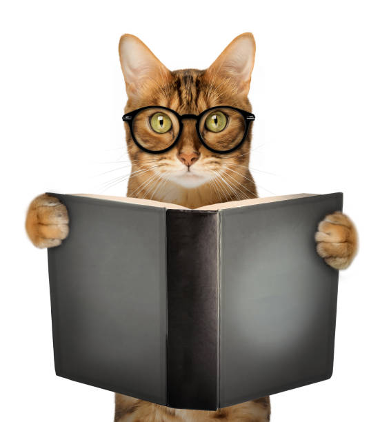 istock Cute cat with glasses reads a book. 2151229100