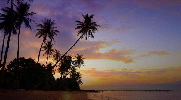 istock Banner Summer with colorful theme as palm trees with water wave background 2151232548
