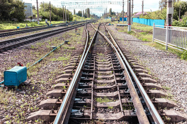 Railway sleepers on the ground.