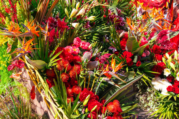 A beautiful bouquet of different flowers.