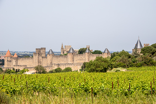 Gevrey Chambertin, France - May 20, 2012: View on ChAteau de Gevrey-Chambertin is a castle located in Burgundy, 12 km from Dijon and 30 km from Beaune. The statue shows Saint Bernard, and was created by an unknown artist. This image was taken from the public street in front of the castle.