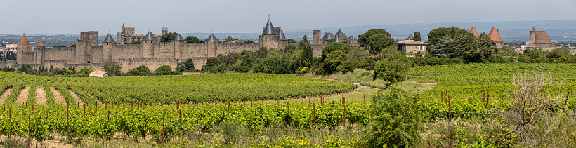 View to the Town Carcassone France over the wineyards