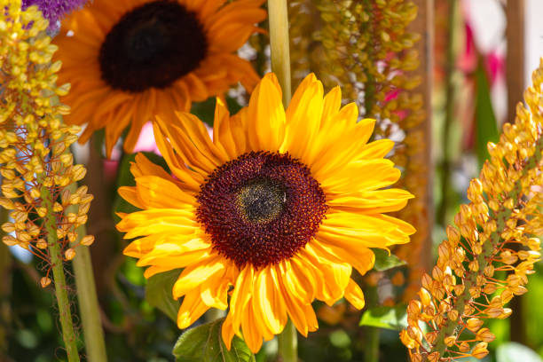 Bouquet of different flowers with sunflowers.