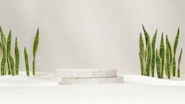 istock Premium 3D rendering mockup template terrazzo podium in landscape with snake plants 2151240623