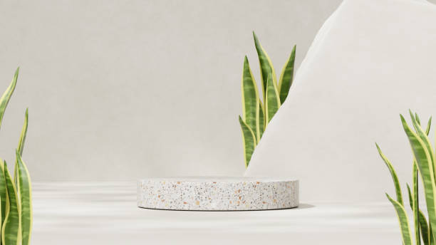 istock Premium 3D rendering mockup template terrazzo podium in landscape with snake plants 2151240629