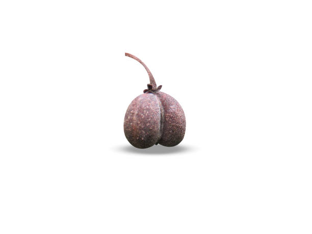 Macrophotography of persimmons.