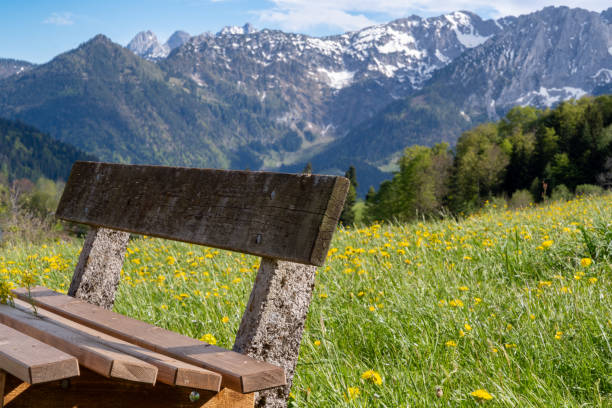 istock Beautiful mountain landscape in spring: In the foreground a bench surrounded by a flowering dandelion meadow, the mountain massif of the Zahmer Kaiser, Tyrol, Austria in the background 2151242084