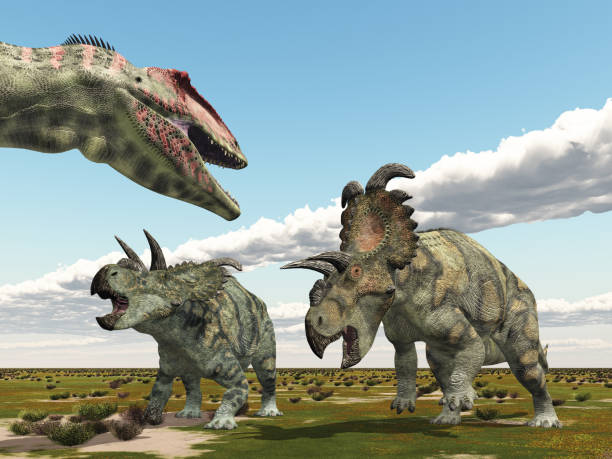 istock The dinosaurs Giganotosaurus and Albertaceratops 2151242196