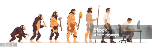 Male Evolution Human Evolution From Monkey To Businessman And Computer User Concept ...