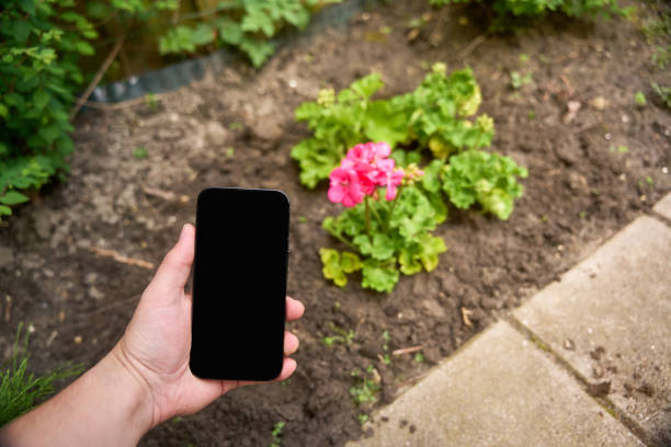 close up smart phone in the garden
