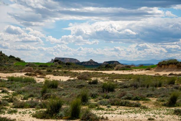 Arid landscape with sparse vegetation under a cloudy sky.