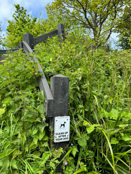 istock Clean up your dog poo! 2151254101