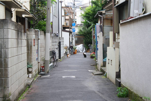 istock Cats in Japanese alley 2151258798