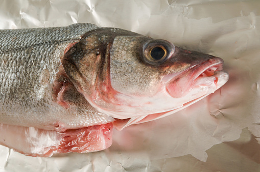 Photo picture of Sea bass on white background