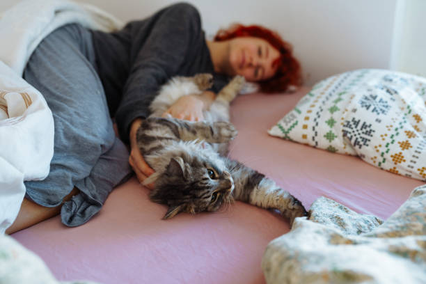 istock Friendship between pet and its owner 2151263720