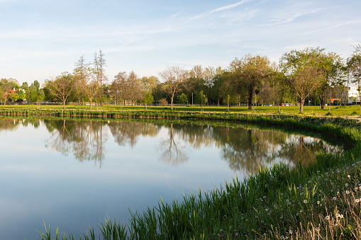 Long exposure shot of the Boating Lake and a public park in Ajka in the morning in springtime.