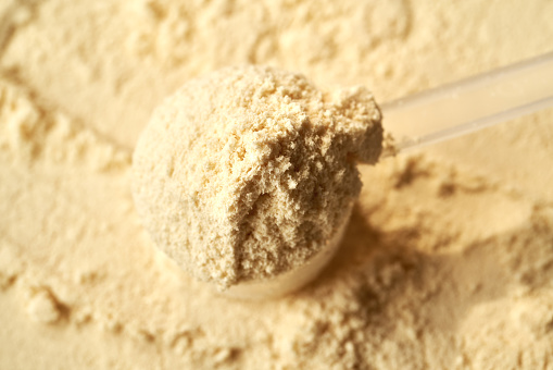 Whey protein powder in a plastic measuring cup, close up. Healthy nutritional supplement.