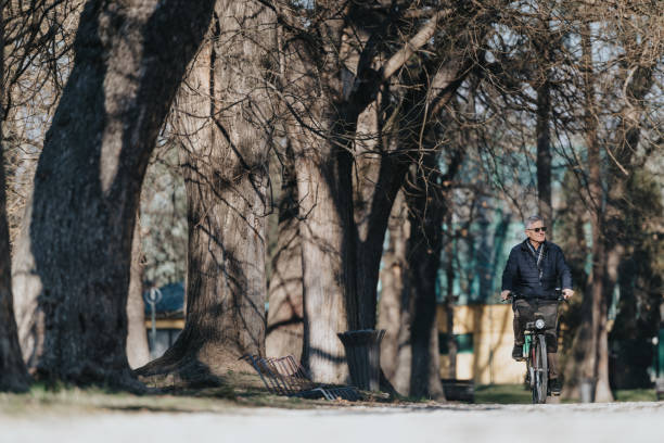 A solitary man cycles down a tranquil path in a park, surrounded by tall trees and the calmness of nature on a sunny day.