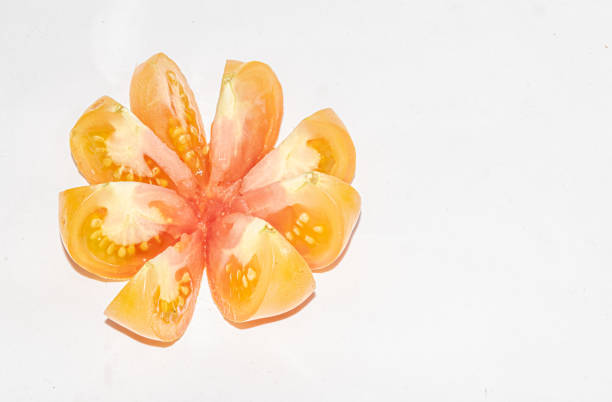 Studio shot with flash lights reflected, high definition closeup macrophotography.