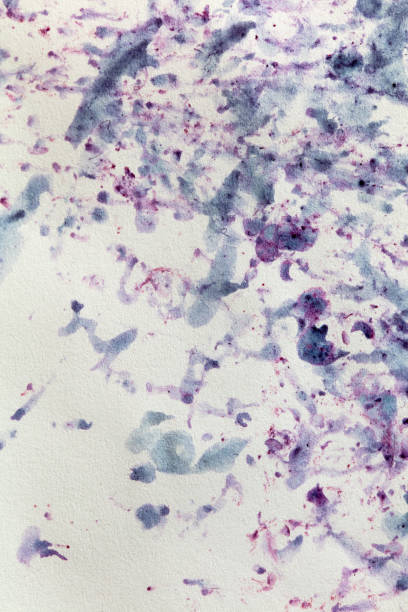 istock Bilberry stains on white paper. Abstract background 2151270204
