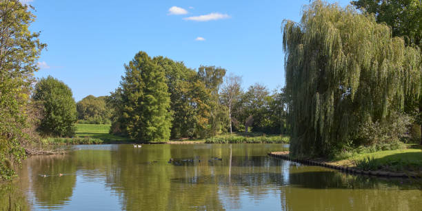 istock View of a park with trees and a lake 2151271630