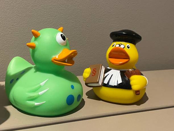 Funny, colorful rubber duck in court