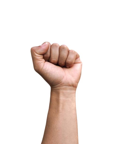 istock Male hands making fists isolated on a white background. 2151274264