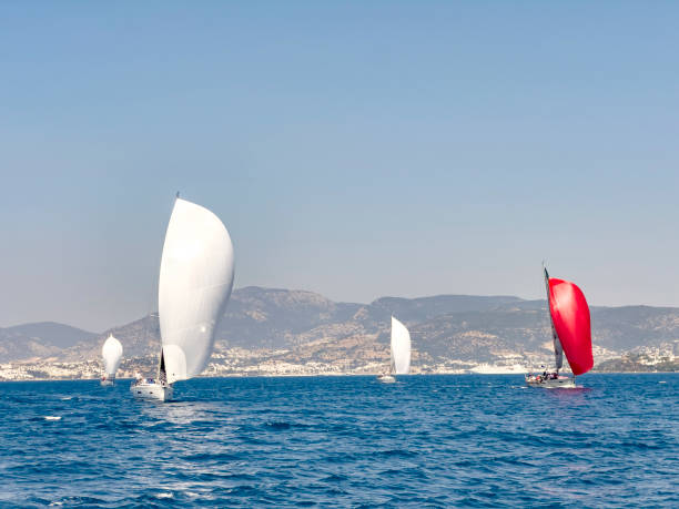 The sailboats are racing in groups. It's bright and clear weather. Peaceful team spirit. Coloful  sails in horizon.