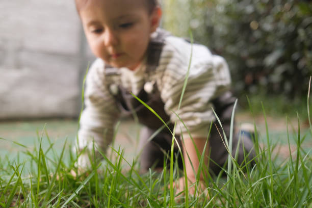 A baby boy is exploring a garden. He's looking at the grass.