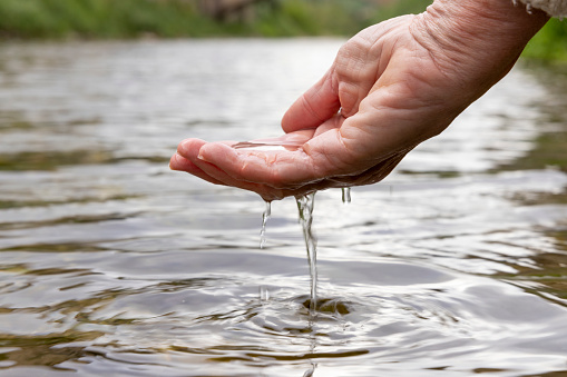 Hands scoop water from stream in springtime