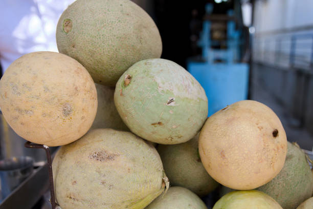 Vibrant Muskmelon for Sale at Indian Bazaar