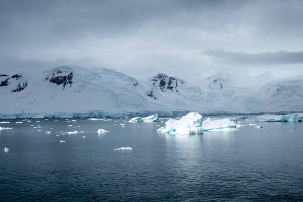 istock Portal Point, Charlotte Bay, Antarctica, Part 1 2151293521