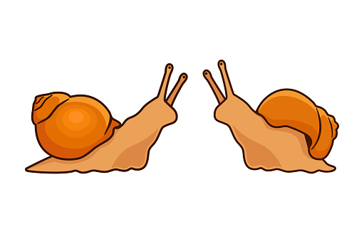 Two snails vector illustration. A couple of snails cartoon character