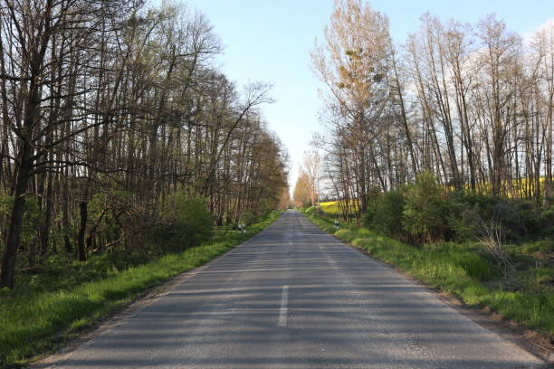 istock Country road 2151299903