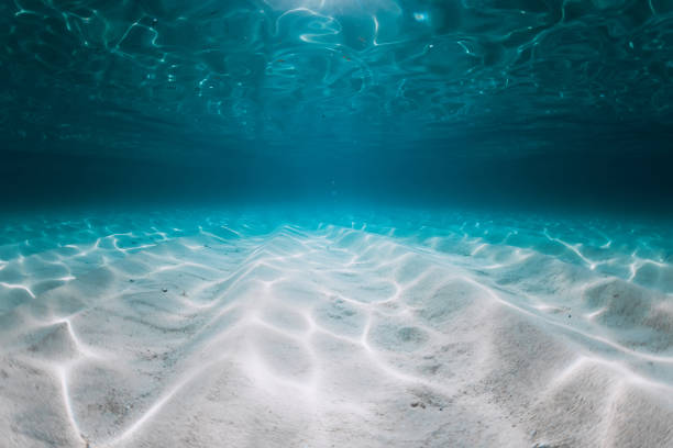 Tropical ocean with white sandy sea bottom underwater