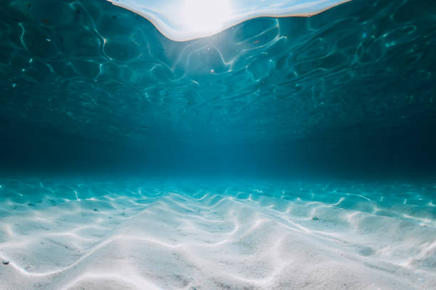 istock Tropical ocean with white sandy sea bottom underwater in Hawaii 2151306385